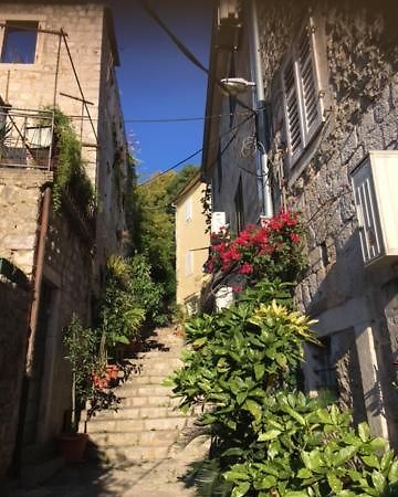 Apartment Simo Herceg Novi Eksteriør bilde