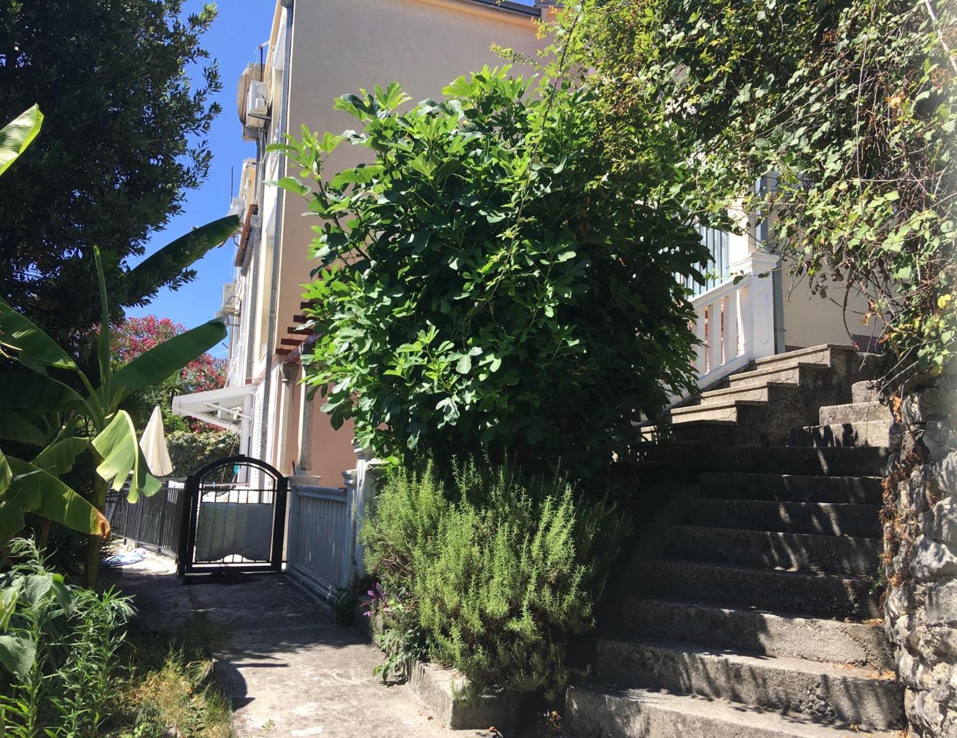Apartment Simo Herceg Novi Eksteriør bilde